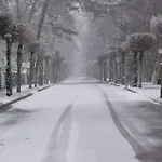 Na Lesnej Apartamento *