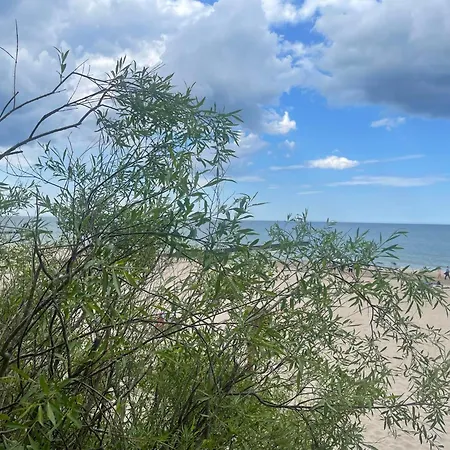 Na Lesnej * פוביירובו