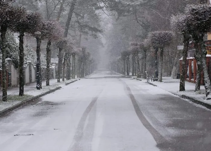 Na Lesnej דירה *