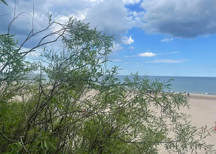 Na Lesnej * פוביירובו